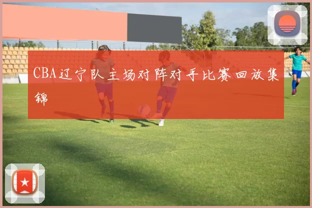 CBA辽宁队主场对阵对手比赛回放集锦